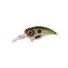 Spro Fat Iris 50 CR Shad