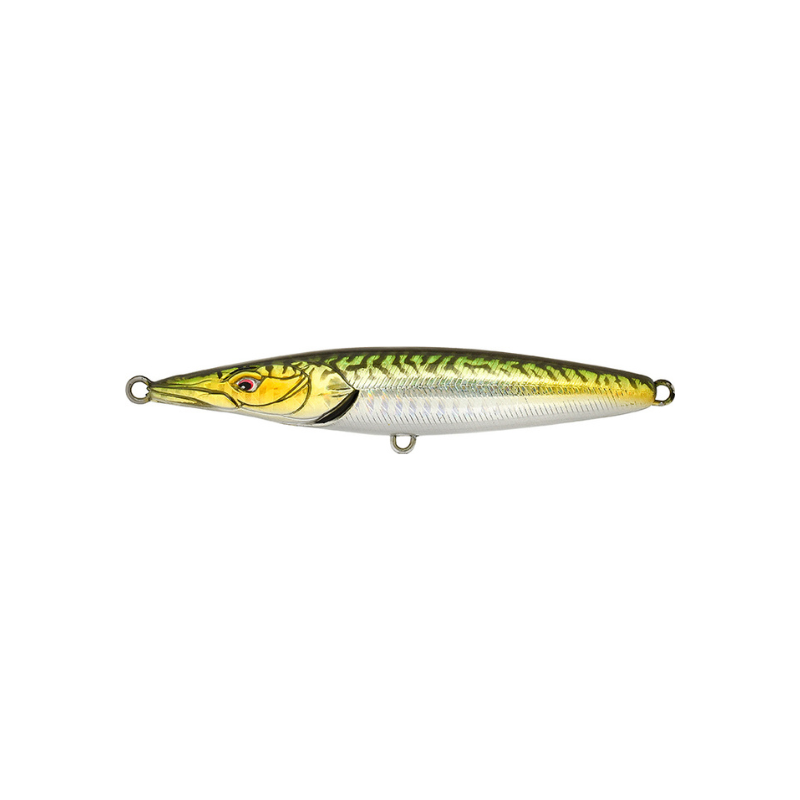 Xorus Asturie 110 Silent Mackerel