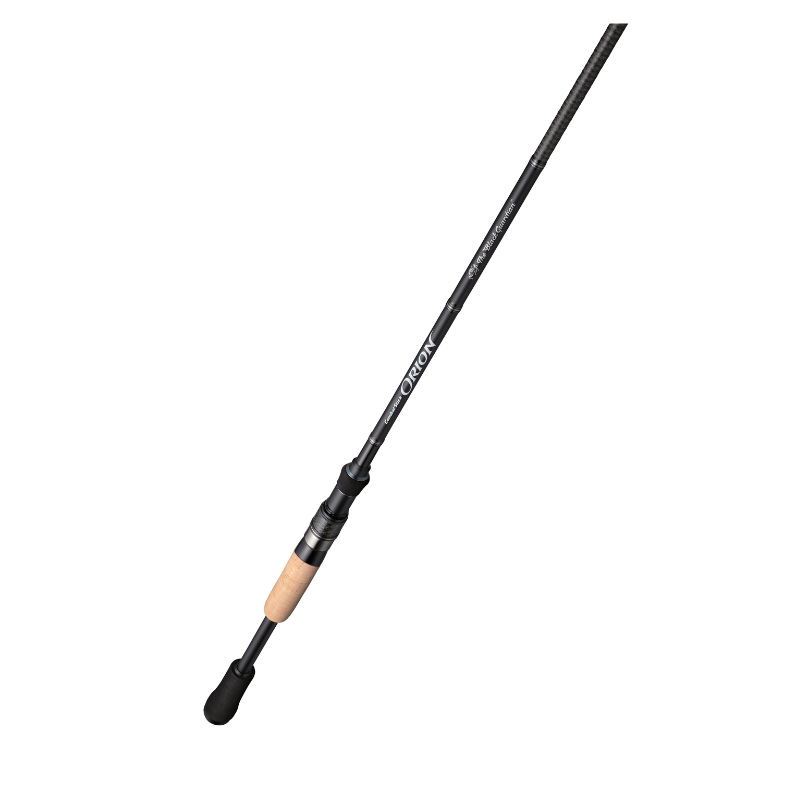 Evergreen Orion The Black Guardian