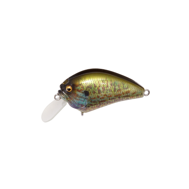 Megabass Ixi Blowly Pumpkin Seed