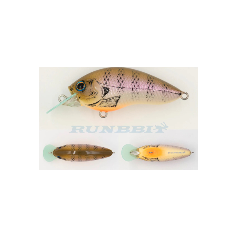 Grassroots Runnbbit 58 F 019