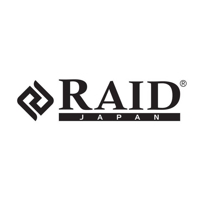 Raid Japan