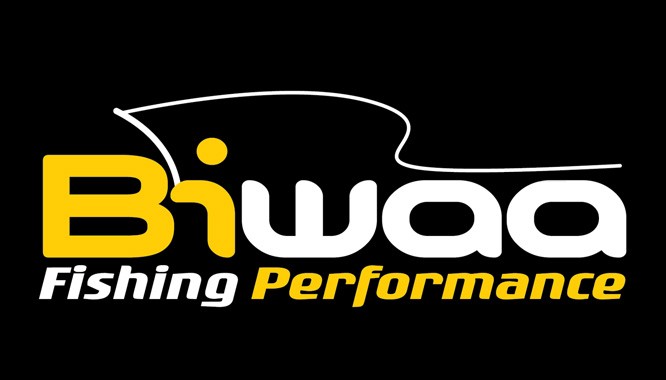 Biwaa